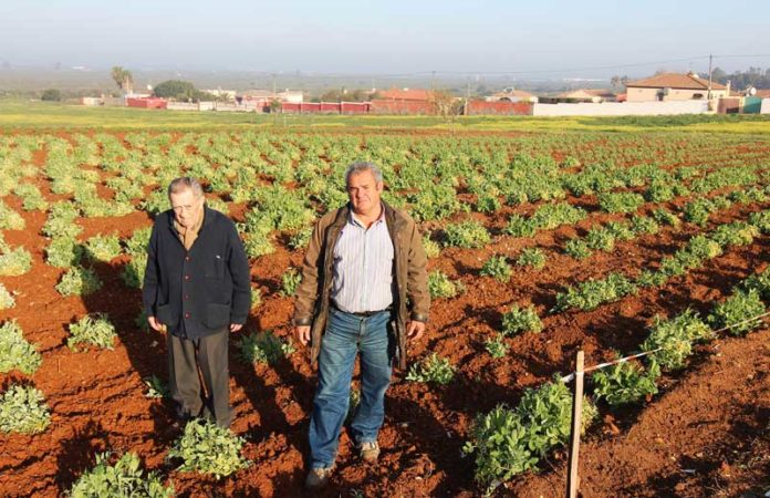 El terreno consta de dos fincas ubicadas en el Pinar de los Franceses. Muriel