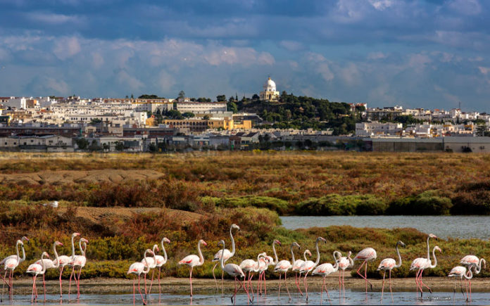 Chiclana de la Frontera